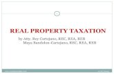 Local Taxation RPT Cartojano2015