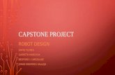 Capstone Project engineering