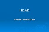 Dr Amin HEAD.ppt