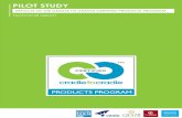 Impact Study Technical Report