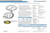 Datasheet Industrial Gauge 1009-45-6