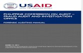 Government Fraud auditing.pdf