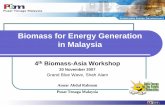 Biomass Energy Generation by PTM