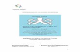 Manual Descriptivo Del Sistema v8.0-31052012