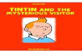 28 Tintin and the Mysterious Visitor