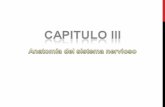 Capitulo 3 Pinel Keynote