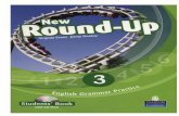New Round-Up 3 SB