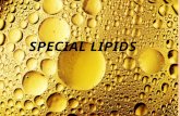 Special Lipids (1)