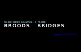 Broods - 6 Frame Analysis 2