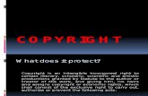 Intellectual property law on copyright