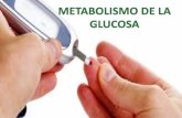 Metabolismo de La Glucosa