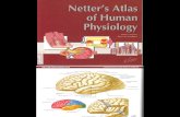 Netter Atlas of Human Physiology