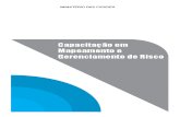 Capacitação em Mapeamento e Gerenciamento de Risco.pdf