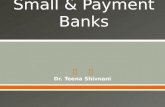 Small & Payment Banks Ppt Final