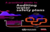 Auditing water safety plans