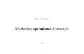 Marketing Operational Si Strategic_Suport ZI