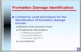 Formation Damage Identification