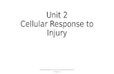 Unit 2 - Cellular Response to Injury