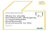 How to study livelihoods: Bringing a sustainable livelihoods framework to life.