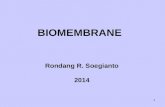 Biomembrane April 2014(2)