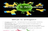 Antigen & Antibodies