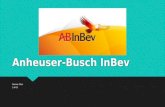Anheuser Busch InBev