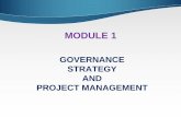 Governance- Strategy and PM