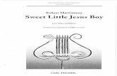 Sweet Little Jesus Boy-low Voice
