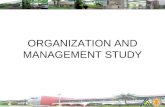 Organization and Management Study