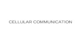 Cellular communcation