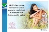 Multi-functional Exotic Bio-Active Protein to Defend and Restore Skin From Photo-Ageing
