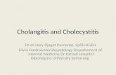 Cholangitis and Cholecystitis (Dr.dr. Hery Djagat Purnomo,SpPD-KGEH)