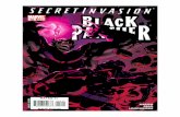 Black Panther Marvel Issue #40