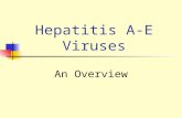 Ser Hepatitis