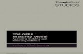 Agile - Agile Maturity Model
