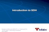 02 - SDH Introduction