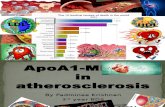 ApoA1 Milano role in atherosclerosis