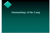 Immunology of the Lung