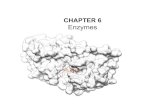 Chapter 6 Slides (Part I) CH490