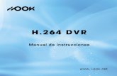 Manual DVR IPook BK-04