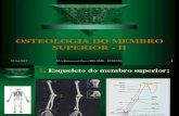 Osteologia Membro Superior II
