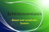 Blood Schistosomiasis 2015