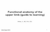 2014 1 04 Functional Anatomy of the Upper Limb