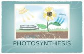 PHOTOSYNTHESIS. What is the role of CO 2 in photosynthesis? Plants USE carbon dioxide to carry out photosynthesis. We can determine the presence of CO.