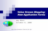 Blue Skies Delaware; Clean Air for Life Value Stream Mapping: New Application Forms Amy Mann October 8, 2008.
