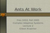 Ants At Work Fres 1010, Fall 2005 Complex Adaptive Systems Lecture 2 Eileen Kraemer.