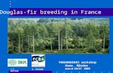 Douglas-fir breeding in France TREEBREEDEX workshop Hann. Münden march 26/27. 2009 J.C. BASTIEN D. MICHAUD.