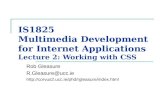 IS1825 Multimedia Development for Internet Applications Lecture 2: Working with CSS Rob Gleasure R.Gleasure@ucc.ie .