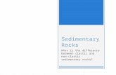 Sedimentary Rocks What is the difference between clastic and non- clastic sedimentary rocks?