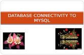 DATABASE CONNECTIVITY TO MYSQL. Introduction =>A real life application needs to manipulate data stored in a Database. =>A database is a collection of.